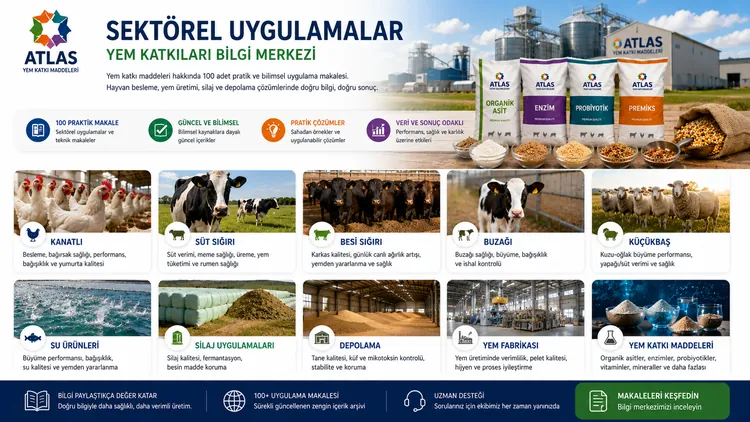 Kaplamalı Asitlerin Sindirim Kanalında Salım Mantığı