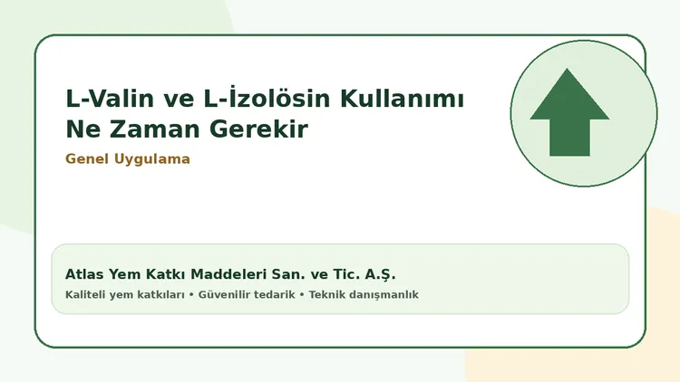 L-Valin ve L-İzolösin Kullanımı Ne Zaman Gerekir